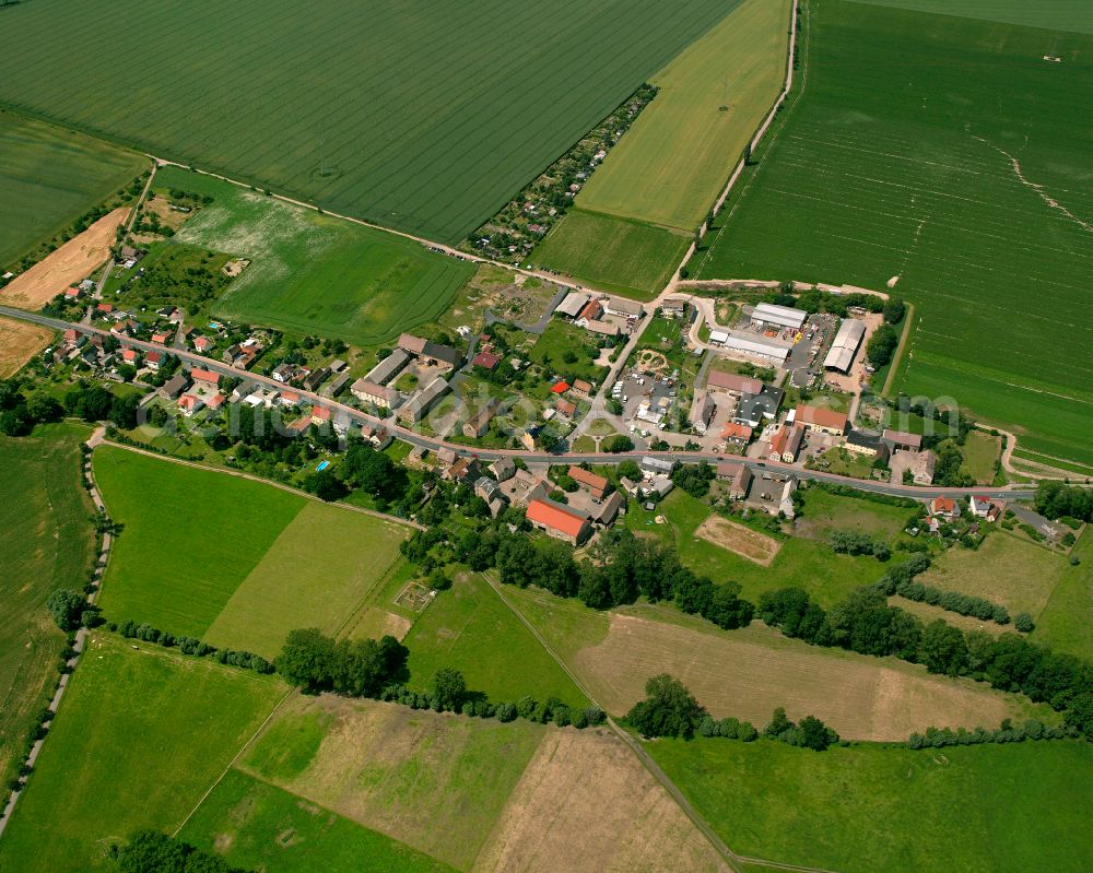 Oelsitz from the bird's eye view: Agricultural land and field boundaries surround the settlement area of the village in Oelsitz in the state Saxony, Germany