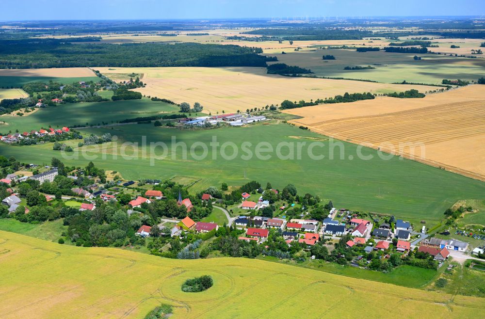 Oevelgünde from the bird's eye view: Agricultural land and field boundaries surround the settlement area of the village in Oevelgünde in the state Mecklenburg - Western Pomerania, Germany