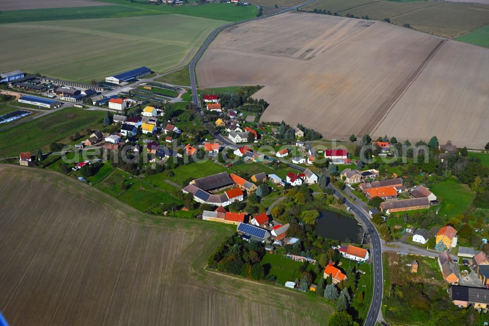 Aerial image Ogkeln - Agricultural land and field boundaries surround the settlement area of the village in Ogkeln in the state Saxony-Anhalt, Germany