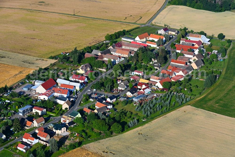 Olganitz from above - Agricultural land and field boundaries surround the settlement area of the village in Olganitz in the state Saxony, Germany