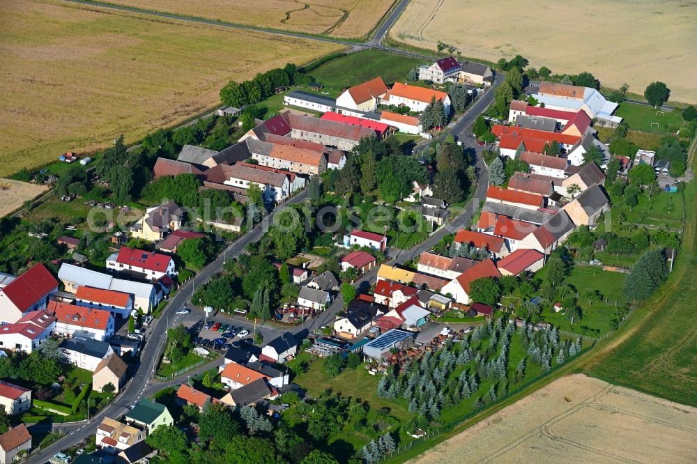 Aerial image Olganitz - Agricultural land and field boundaries surround the settlement area of the village in Olganitz in the state Saxony, Germany