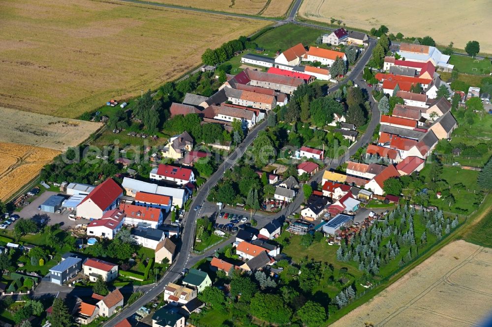 Aerial photograph Olganitz - Agricultural land and field boundaries surround the settlement area of the village in Olganitz in the state Saxony, Germany