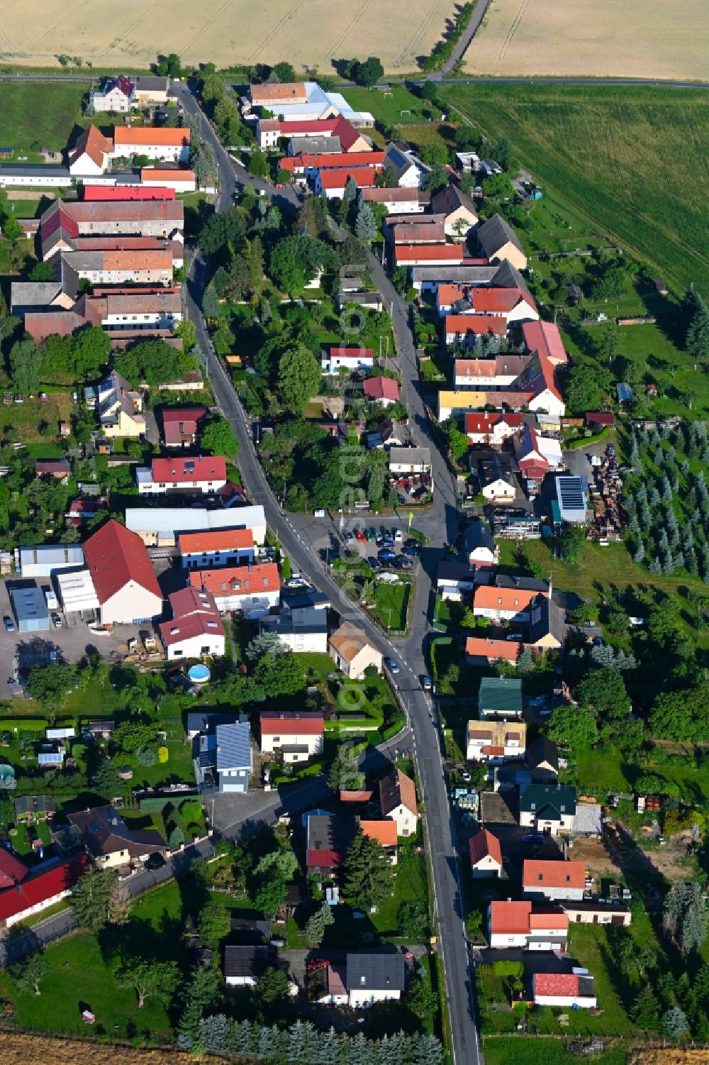 Olganitz from the bird's eye view: Agricultural land and field boundaries surround the settlement area of the village in Olganitz in the state Saxony, Germany