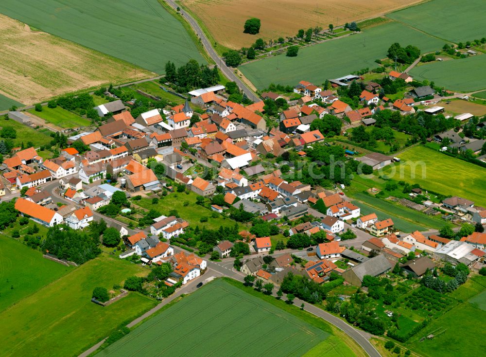 Aerial image Orbis - Agricultural land and field boundaries surround the settlement area of the village in Orbis in the state Rhineland-Palatinate, Germany