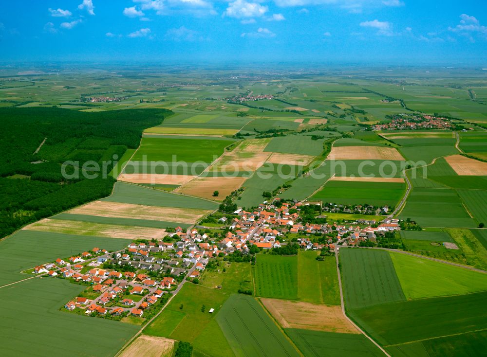 Aerial photograph Orbis - Agricultural land and field boundaries surround the settlement area of the village in Orbis in the state Rhineland-Palatinate, Germany