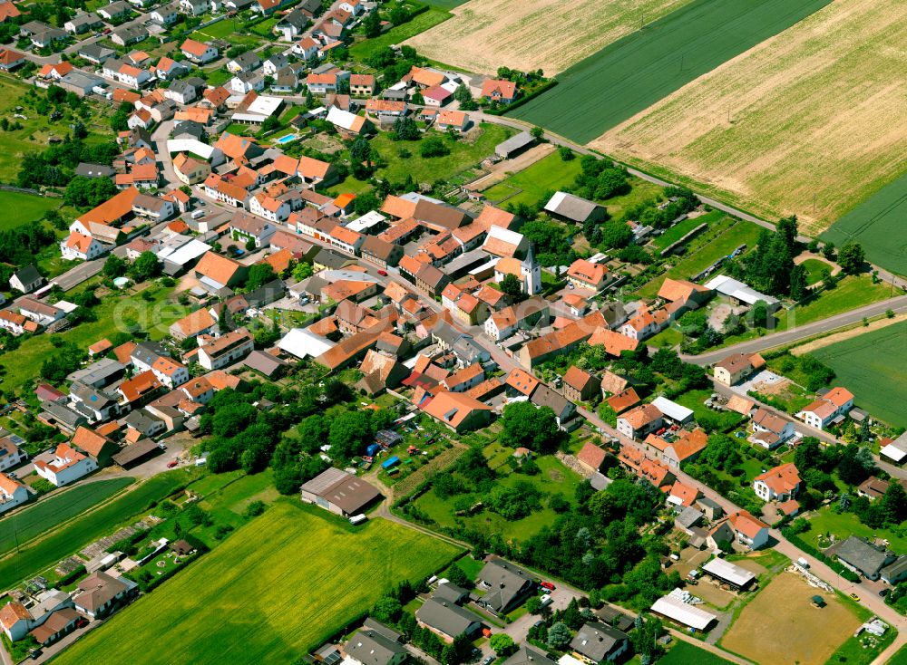 Orbis from the bird's eye view: Agricultural land and field boundaries surround the settlement area of the village in Orbis in the state Rhineland-Palatinate, Germany