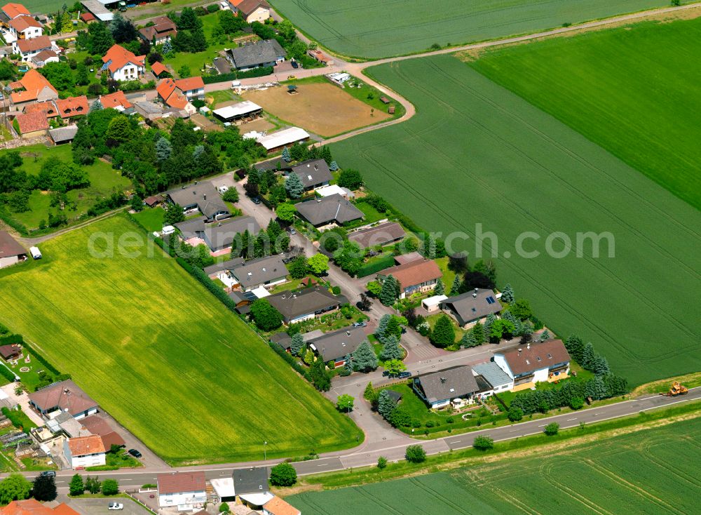 Aerial image Orbis - Agricultural land and field boundaries surround the settlement area of the village in Orbis in the state Rhineland-Palatinate, Germany