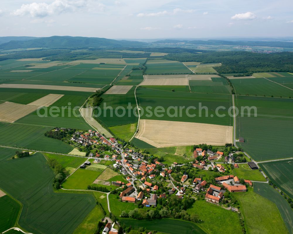 Ostharingen from the bird's eye view: Agricultural land and field boundaries surround the settlement area of the village in Ostharingen in the state Lower Saxony, Germany