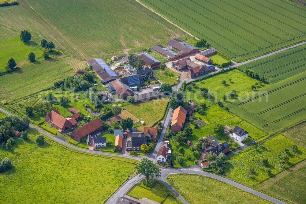 Aerial image Osttünnen - Agricultural land and field boundaries surround the settlement area of the village in Osttünnen in the state North Rhine-Westphalia, Germany