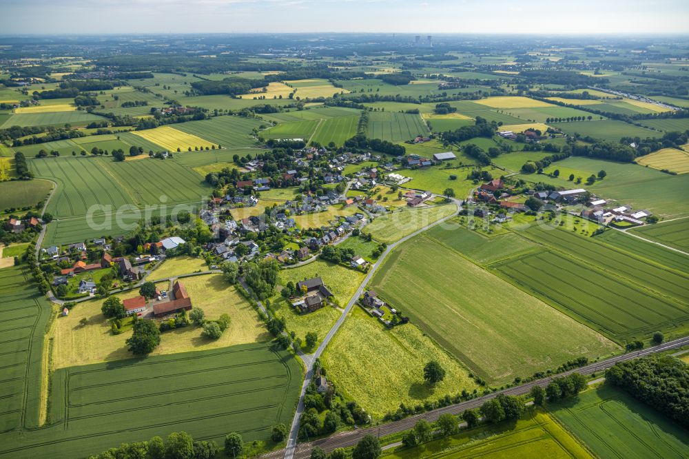 Osttünnen from above - Agricultural land and field boundaries surround the settlement area of the village in Osttünnen in the state North Rhine-Westphalia, Germany