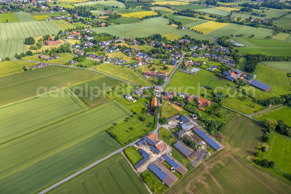 Osttünnen from the bird's eye view: Agricultural land and field boundaries surround the settlement area of the village in Osttünnen in the state North Rhine-Westphalia, Germany