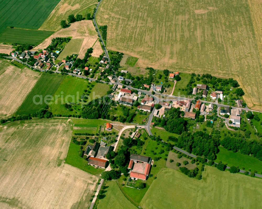 Pahrenz from above - Agricultural land and field boundaries surround the settlement area of the village in Pahrenz in the state Saxony, Germany