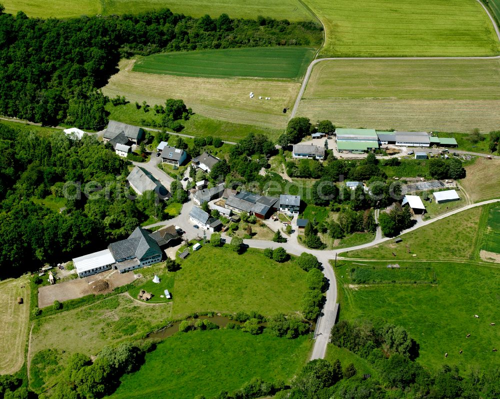 Aerial photograph Panzweiler - Agricultural land and field boundaries surround the settlement area of the village in Panzweiler in the state Rhineland-Palatinate, Germany