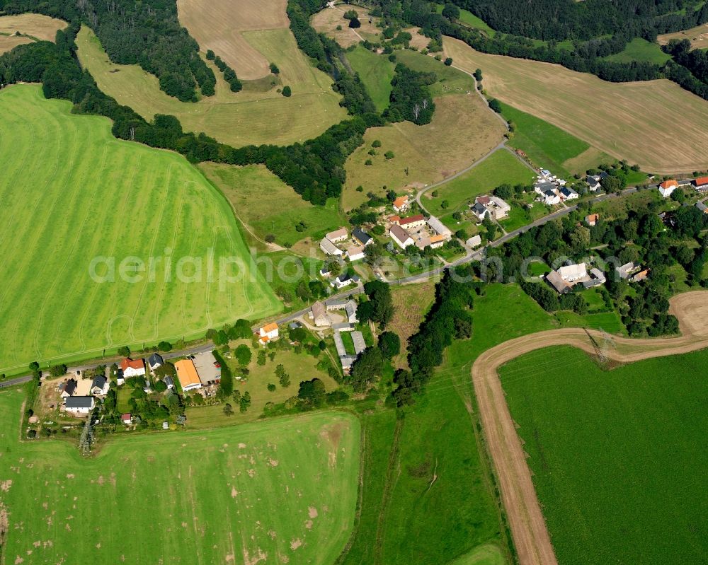 Pappendorf from the bird's eye view: Agricultural land and field boundaries surround the settlement area of the village in Pappendorf in the state Saxony, Germany