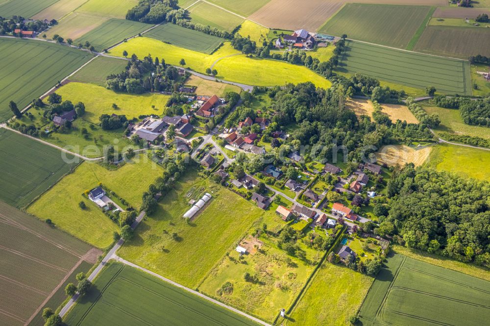 Aerial photograph Pedinghausen - Agricultural land and field boundaries surround the settlement area of the village in Pedinghausen in the state North Rhine-Westphalia, Germany