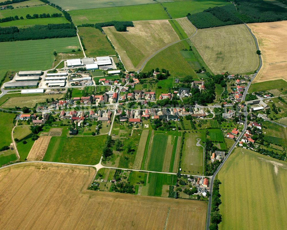 Aerial image Peritz - Agricultural land and field boundaries surround the settlement area of the village in Peritz in the state Saxony, Germany