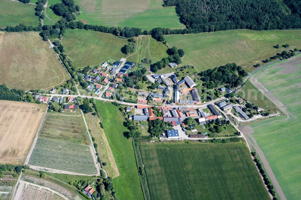 Aerial image Peulingen - Agricultural land and field boundaries surround the settlement area of the village on street Peulinger Winkel in Peulingen in the state Saxony-Anhalt, Germany