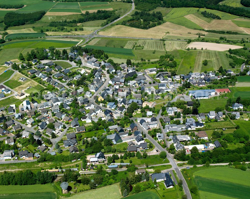 Pfalzfeld from the bird's eye view: Agricultural land and field boundaries surround the settlement area of the village in Pfalzfeld in the state Rhineland-Palatinate, Germany