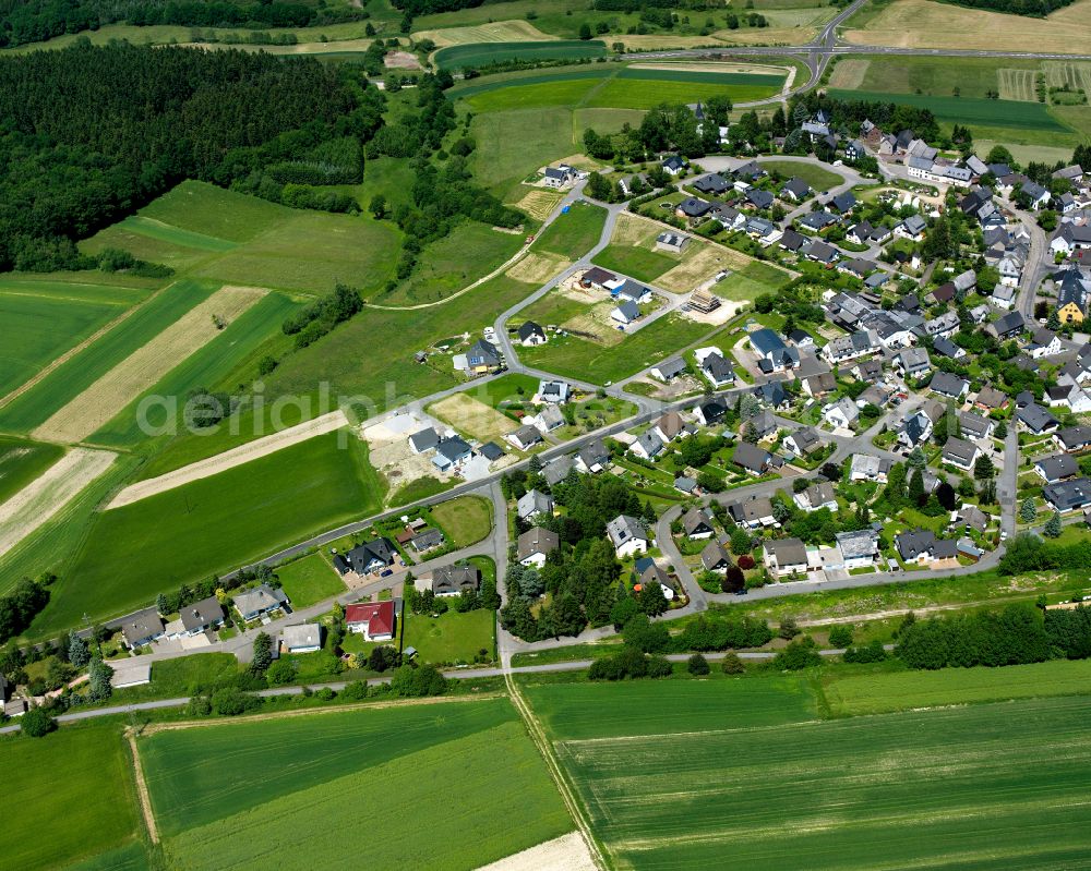 Aerial image Pfalzfeld - Agricultural land and field boundaries surround the settlement area of the village in Pfalzfeld in the state Rhineland-Palatinate, Germany