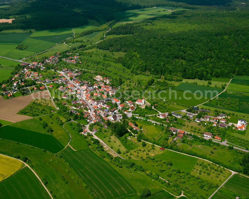 Pflummern from the bird's eye view: Agricultural land and field boundaries surround the settlement area of the village in Pflummern in the state Baden-Wuerttemberg, Germany