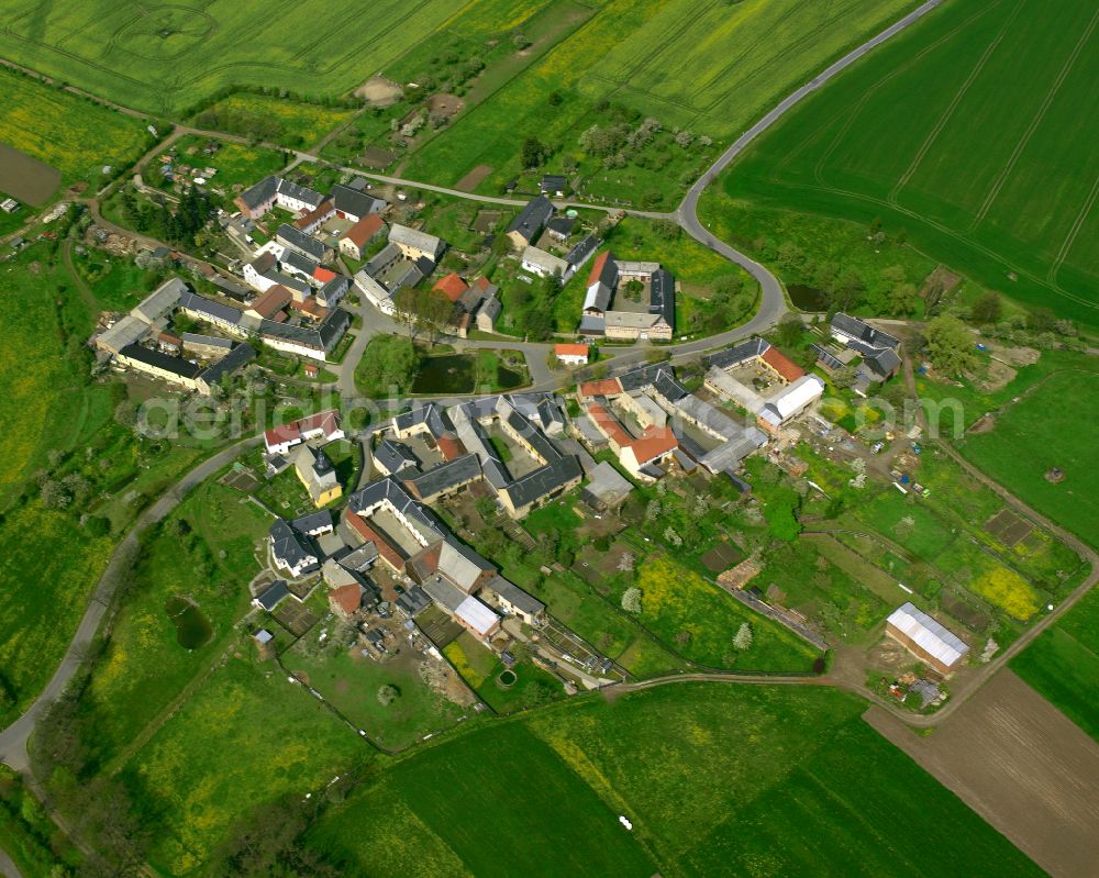 Piesigitz from above - Agricultural land and field boundaries surround the settlement area of the village in Piesigitz in the state Thuringia, Germany