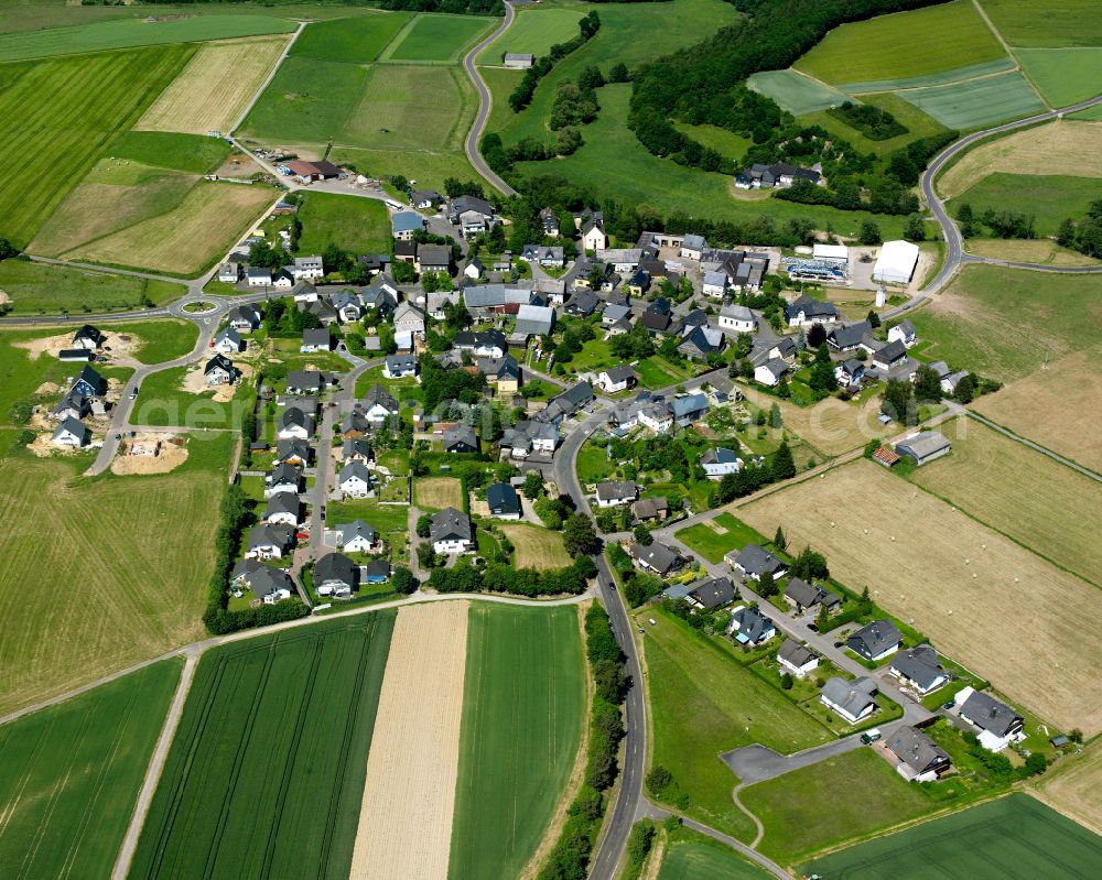 Pleizenhausen from the bird's eye view: Agricultural land and field boundaries surround the settlement area of the village in Pleizenhausen in the state Rhineland-Palatinate, Germany