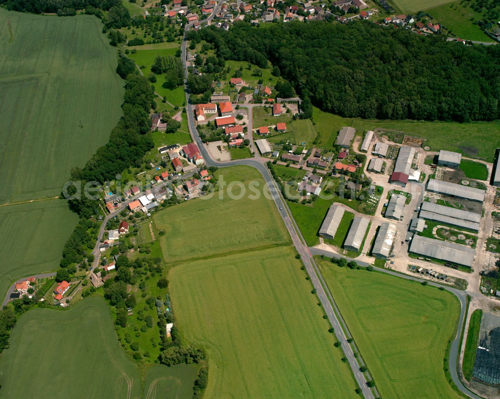 Plotitz from above - Agricultural land and field boundaries surround the settlement area of the village in Plotitz in the state Saxony, Germany