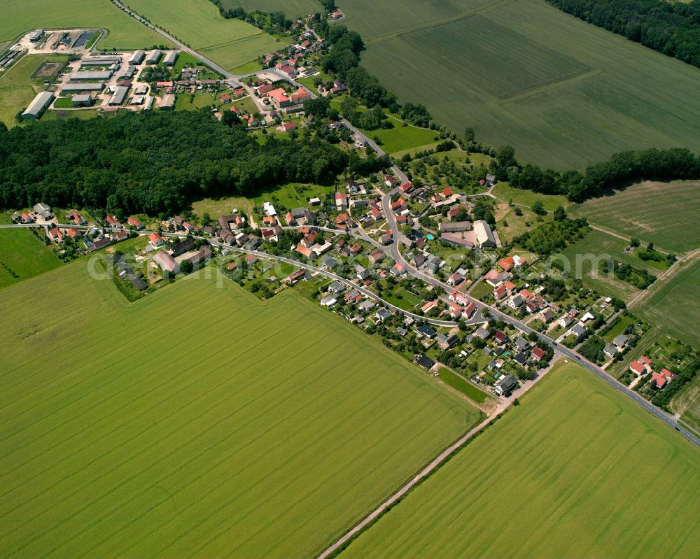 Plotitz from the bird's eye view: Agricultural land and field boundaries surround the settlement area of the village in Plotitz in the state Saxony, Germany