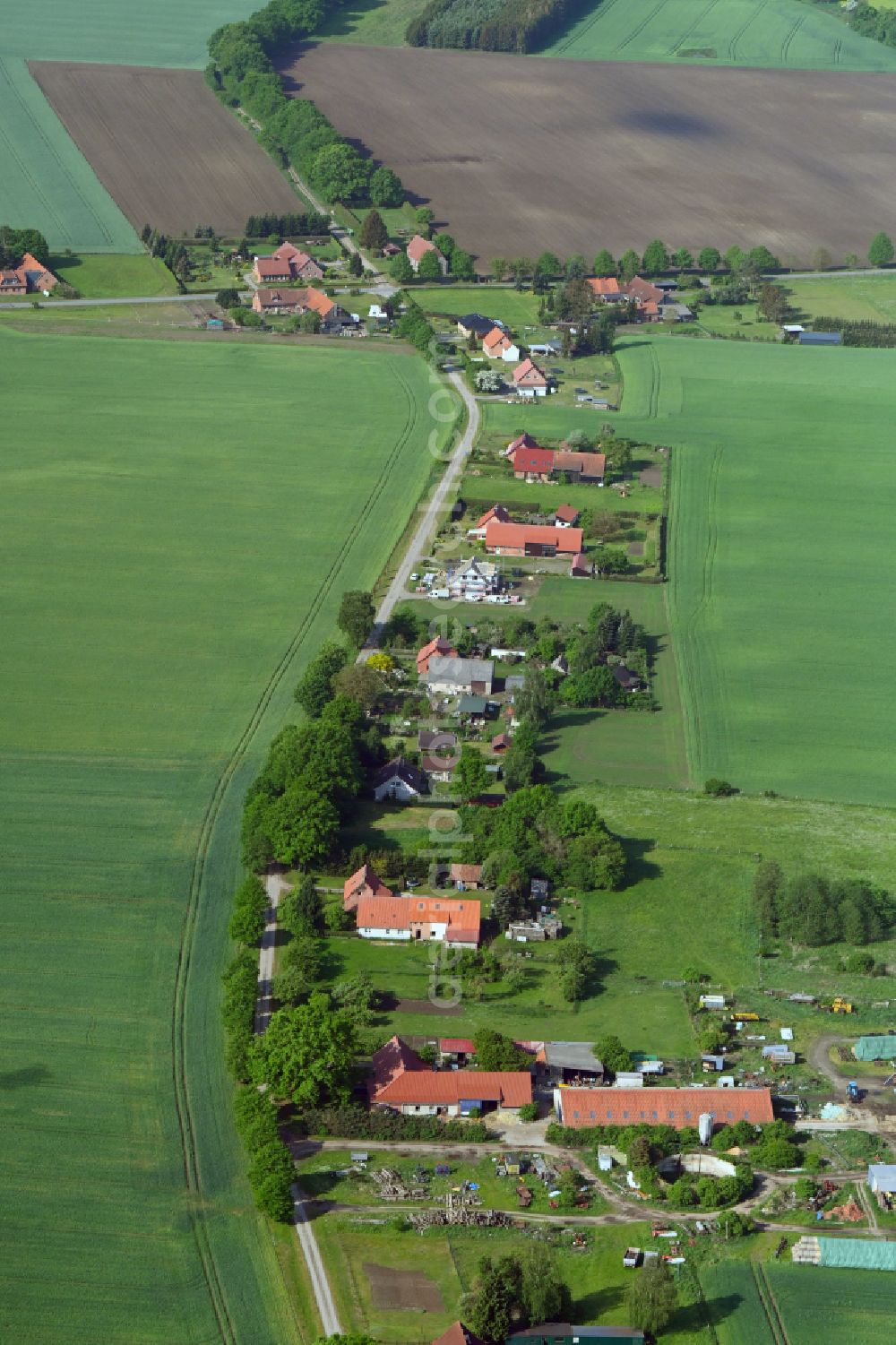 Pogreß from the bird's eye view: Agricultural land and field boundaries surround the settlement area of the village in Pogreß in the state Mecklenburg - Western Pomerania, Germany