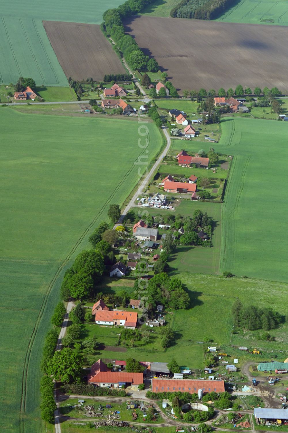 Aerial image Pogreß - Agricultural land and field boundaries surround the settlement area of the village in Pogreß in the state Mecklenburg - Western Pomerania, Germany