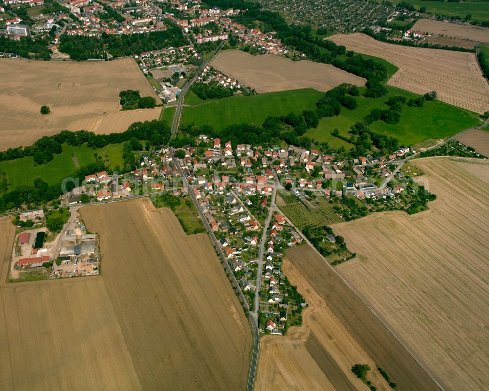 Aerial photograph Poppitz - Agricultural land and field boundaries surround the settlement area of the village in Poppitz in the state Saxony, Germany