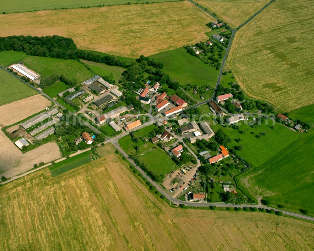 Porschütz from the bird's eye view: Agricultural land and field boundaries surround the settlement area of the village in Porschütz in the state Saxony, Germany