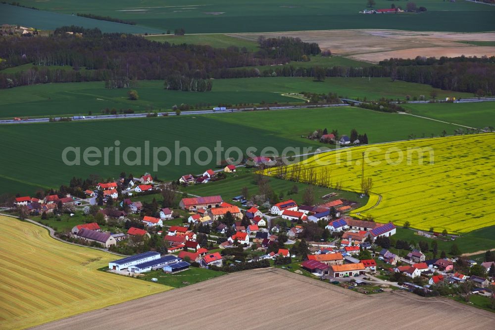 Aerial photograph Prachenau - Agricultural land and field boundaries surround the settlement area of the village along Prachenau Strasse in Prachenau in the state Saxony, Germany