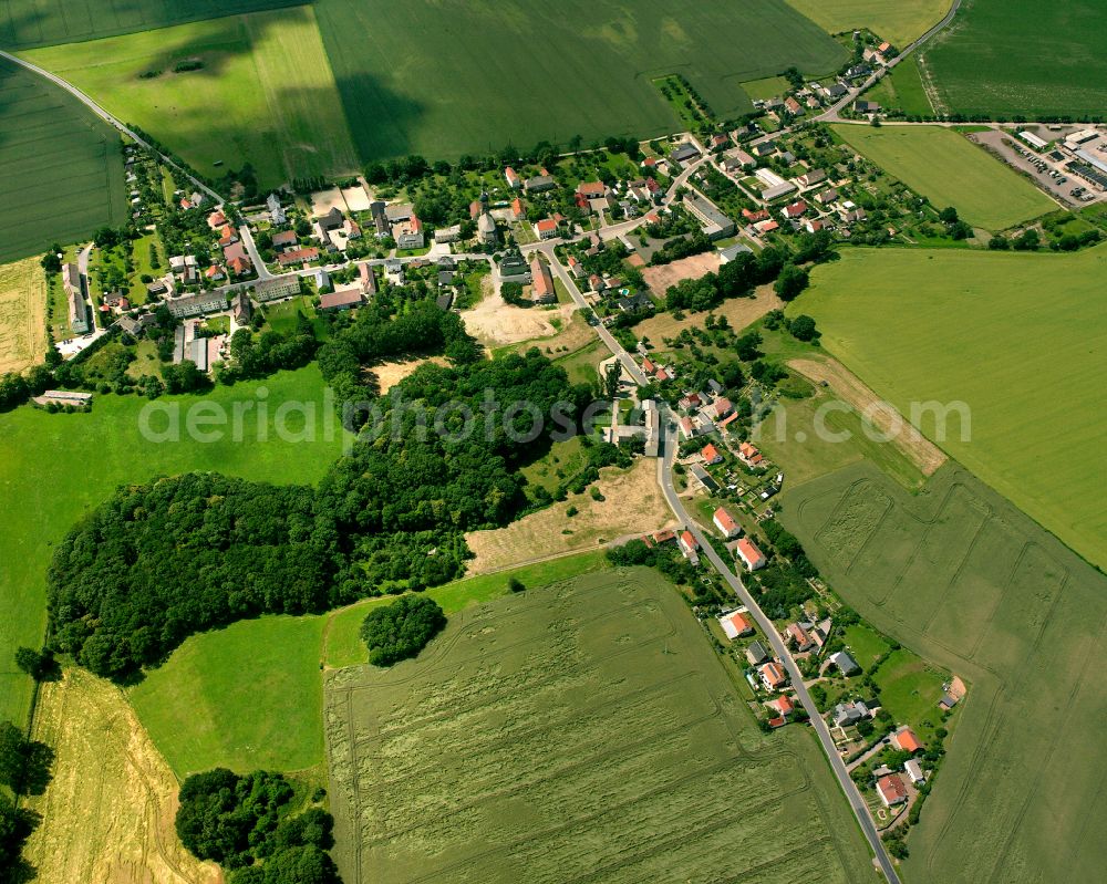 Prausitz from above - Agricultural land and field boundaries surround the settlement area of the village in Prausitz in the state Saxony, Germany