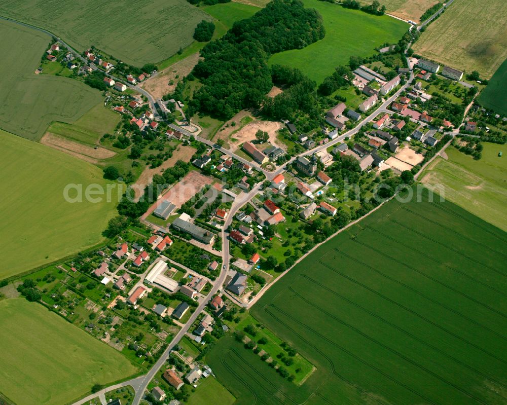 Prausitz from the bird's eye view: Agricultural land and field boundaries surround the settlement area of the village in Prausitz in the state Saxony, Germany