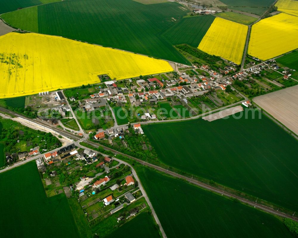 Prödel from the bird's eye view: Agricultural land and field boundaries surround the settlement area of the village in Prödel in the state Saxony-Anhalt, Germany