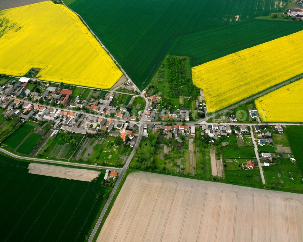 Aerial image Prödel - Agricultural land and field boundaries surround the settlement area of the village in Prödel in the state Saxony-Anhalt, Germany