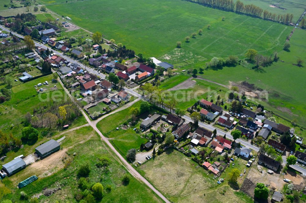 Aerial photograph Protzen - Agricultural land and field boundaries surround the settlement area of the village in Protzen in the state Brandenburg, Germany