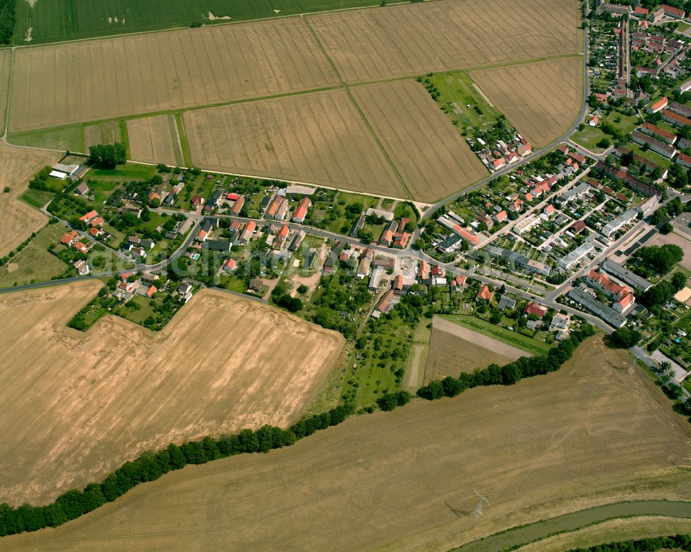 Aerial image Pulsen - Agricultural land and field boundaries surround the settlement area of the village in Pulsen in the state Saxony, Germany