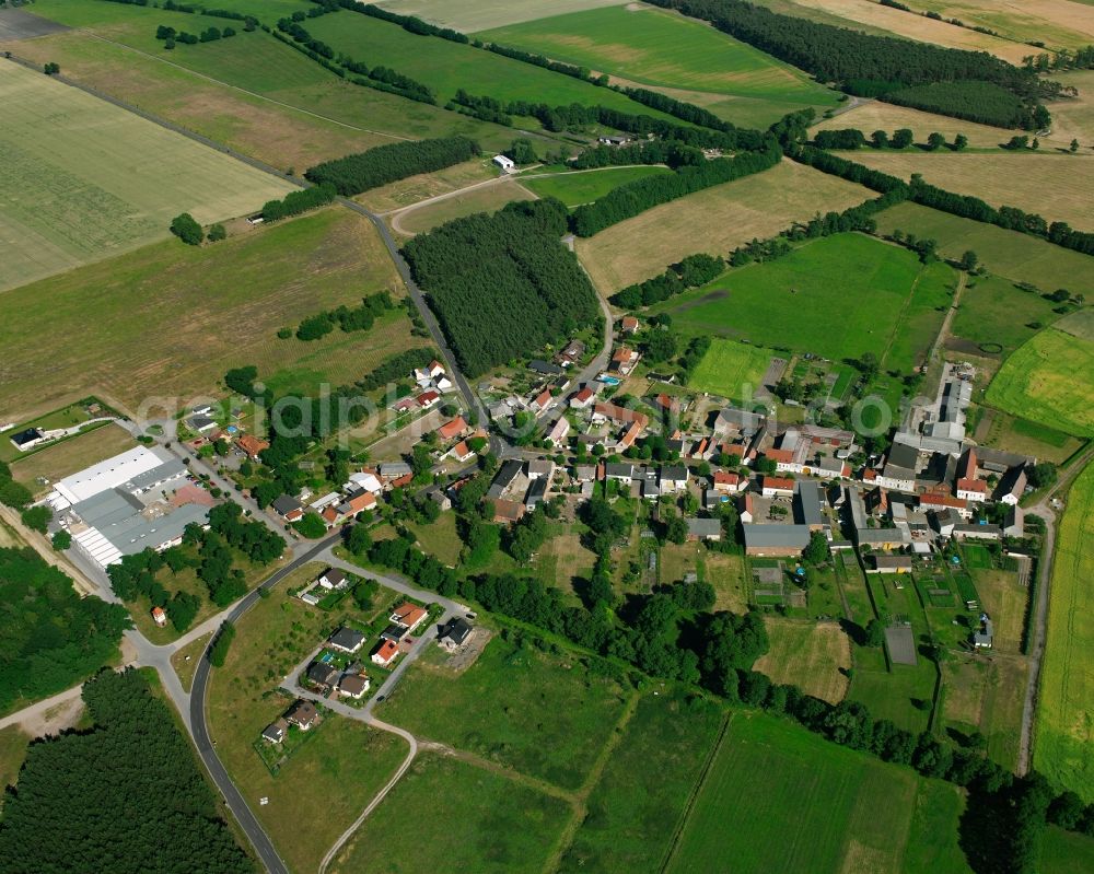 Aerial image Pulspforde - Agricultural land and field boundaries surround the settlement area of the village in Pulspforde in the state Saxony-Anhalt, Germany