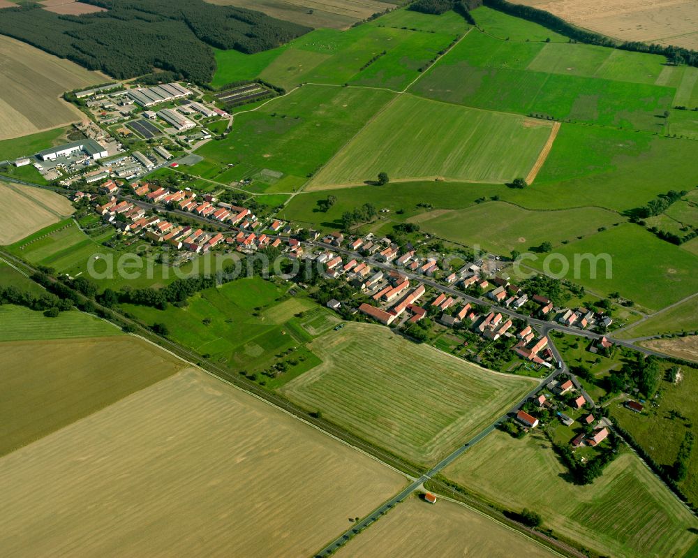 Quersa from the bird's eye view: Agricultural land and field boundaries surround the settlement area of the village in Quersa in the state Saxony, Germany