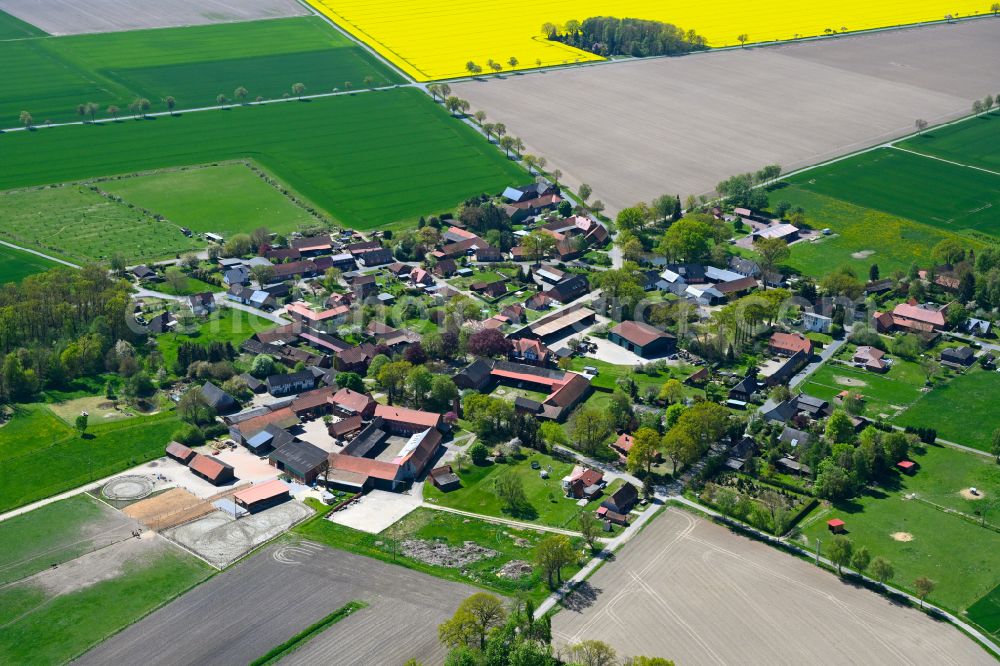 Rade from above - Agricultural land and field boundaries surround the settlement area of the village in Rade in the state Lower Saxony, Germany