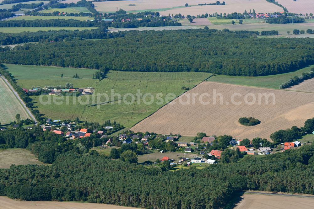 Aerial image Radelübbe - Agricultural land and field boundaries surround the settlement area of the village in Radeluebbe in the state Mecklenburg - Western Pomerania, Germany