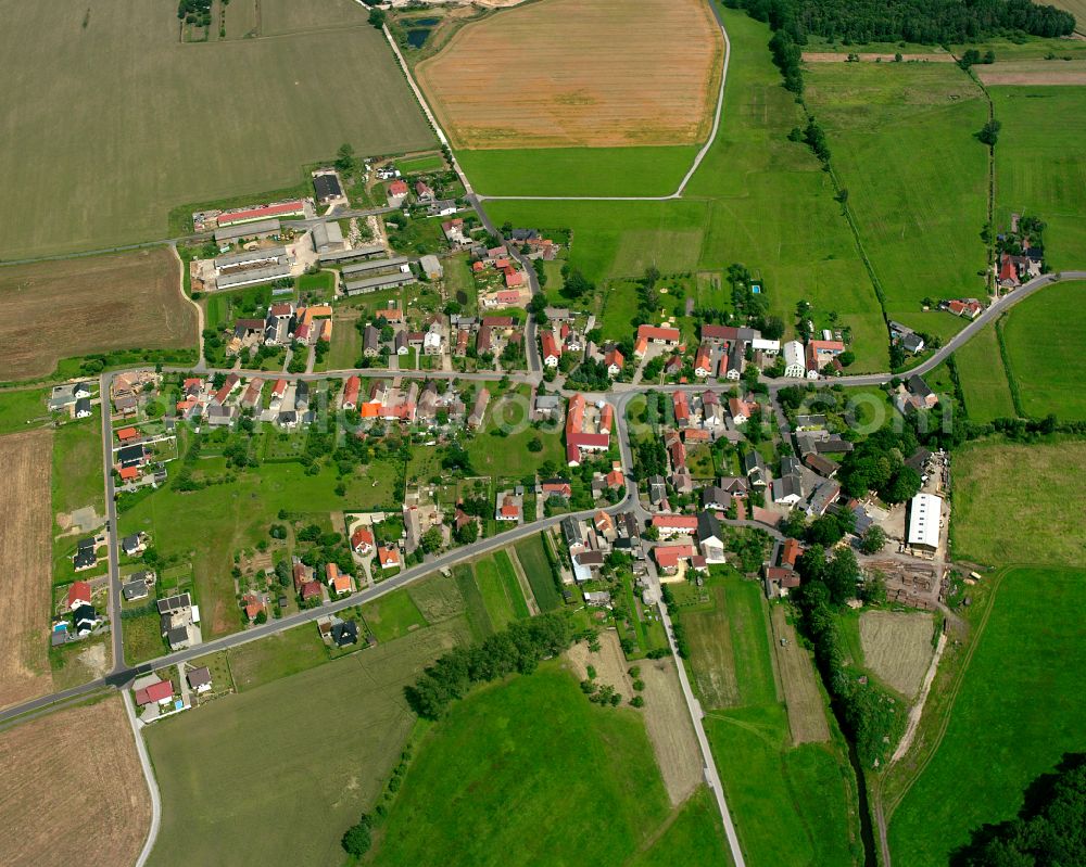 Aerial image Raden - Agricultural land and field boundaries surround the settlement area of the village in Raden in the state Saxony, Germany