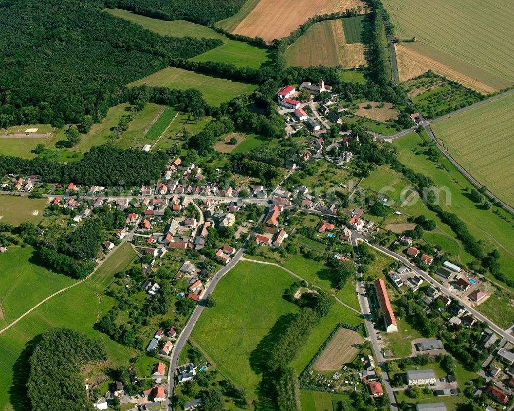 Radewitz from the bird's eye view: Agricultural land and field boundaries surround the settlement area of the village in Radewitz in the state Saxony, Germany