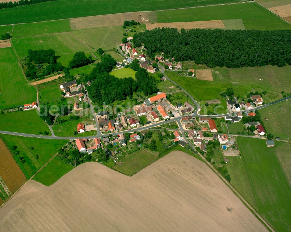 Radewitz from above - Agricultural land and field boundaries surround the settlement area of the village in Radewitz in the state Saxony, Germany