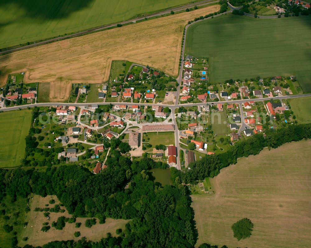 Aerial image Ragewitz - Agricultural land and field boundaries surround the settlement area of the village in Ragewitz in the state Saxony, Germany