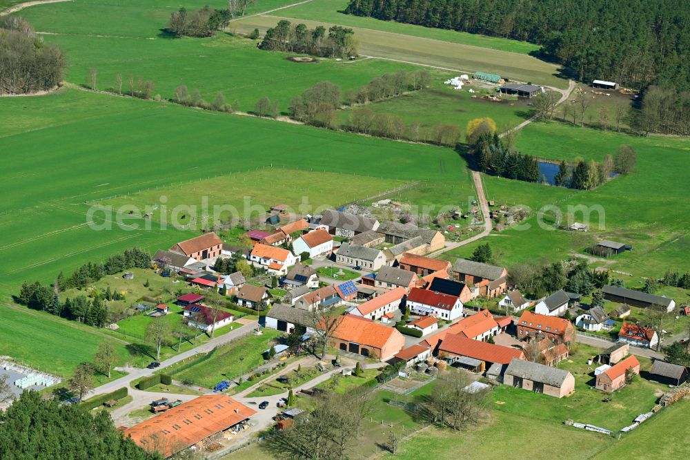 Aerial image Randow - Agricultural land and field boundaries surround the settlement area of the village in Randow in the state Brandenburg, Germany