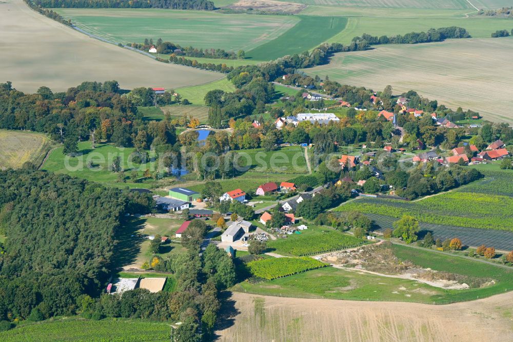 Aerial photograph Rattey - Agricultural land and field boundaries surround the settlement area of the village in Rattey in the state Mecklenburg - Western Pomerania, Germany