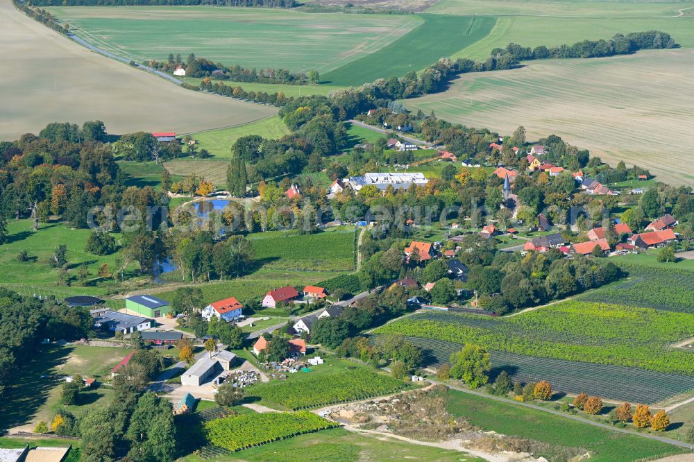 Rattey from above - Agricultural land and field boundaries surround the settlement area of the village in Rattey in the state Mecklenburg - Western Pomerania, Germany